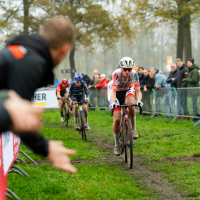 Aardbeiencross Merksplas 2025