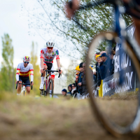 Vlaamse Druivencross Overijse