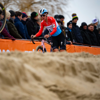 Wereldbekermanche Antwerpen - Scheldecross