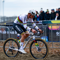 Wereldbekermanche Antwerpen - Scheldecross