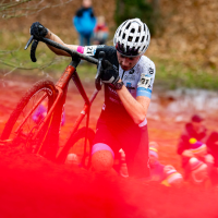 Wereldbekermanche Namen - Citadel