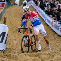 Nederlandse selecties voor Gavere en Dendermonde