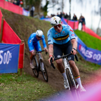 Joran Wyseure ' 't is wat dat 't is '