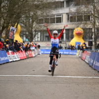 Sterke slotmanche in Brussel van Alvarado