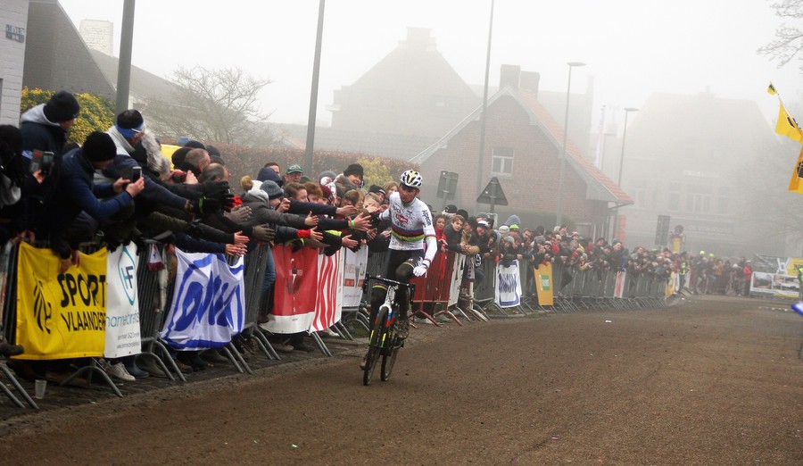 Van der Poel en Majerus winnen bij elite in Zonnebeke