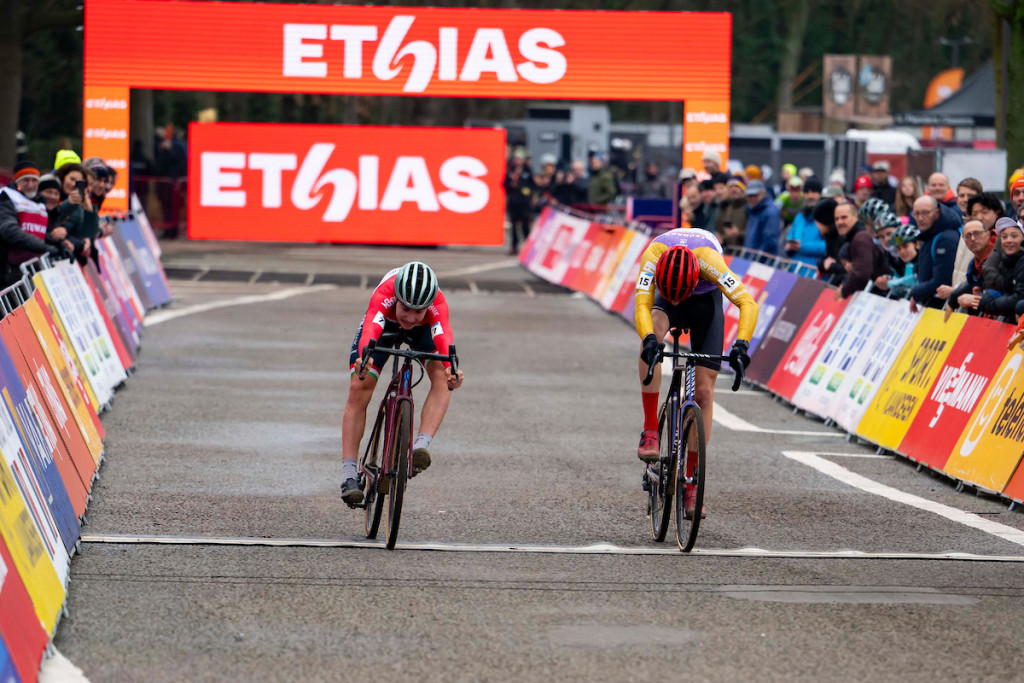 ANT_8701_1.jpg (234 KB)