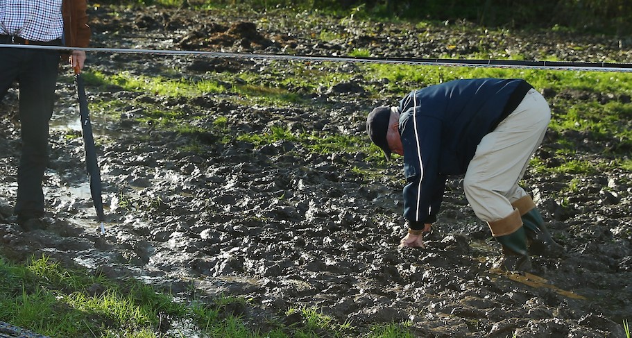 Jaarmarktcross keert terug naar roots en duikt de weide in